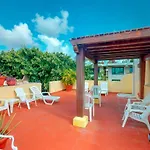 Coccinella 302B